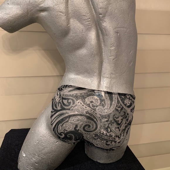 Zodiac Brief - semi sheer J041 - Picture 3 of 4